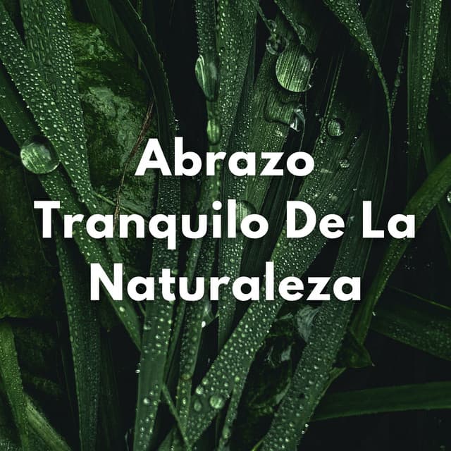 Prados A La Luz De La Luna: Abrazo Tranquilo De La Naturaleza - Los paisajes sonoros de la naturaleza