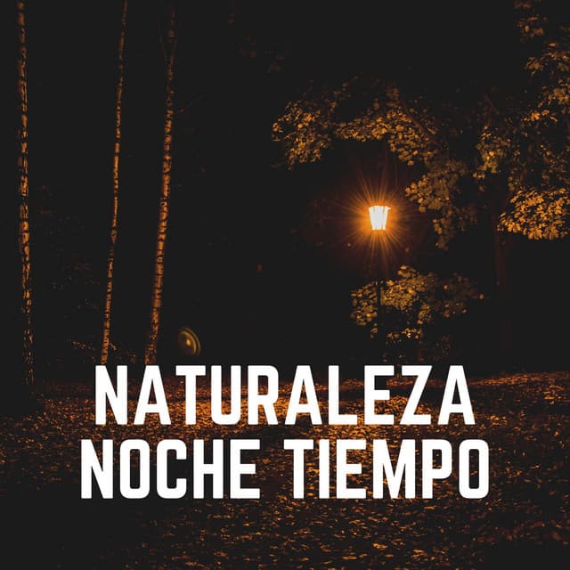 Naturaleza Noche Tiempo - Sonidos de la Naturaleza para Dormir