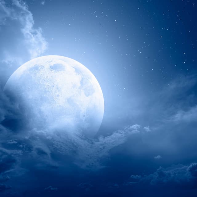 Evening Harmony: Gentle Sounds for Peaceful Rest - Total Music