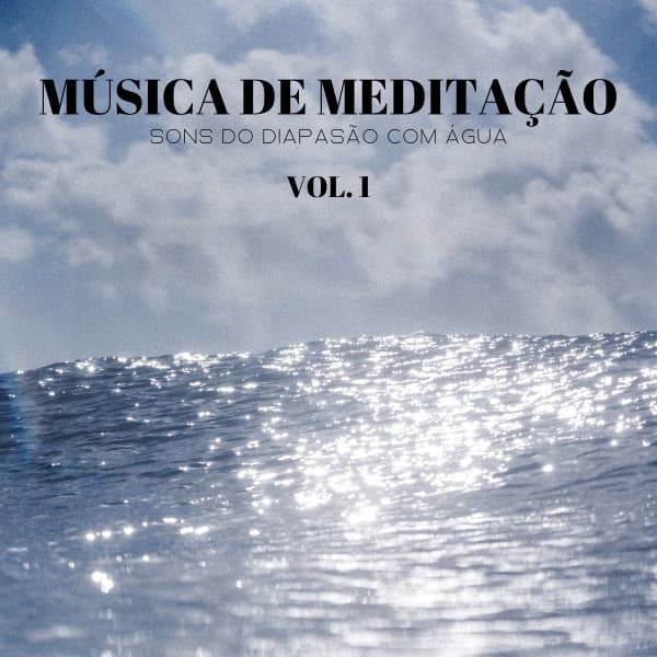 1 Hora de Meditação
