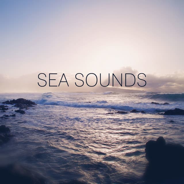 Sea Sounds – New Age Nature Sounds for Spa, Sea Waves, Music for Massage and Relaxation, Relaxing Massage, Reiki - Calm Sea Ambient