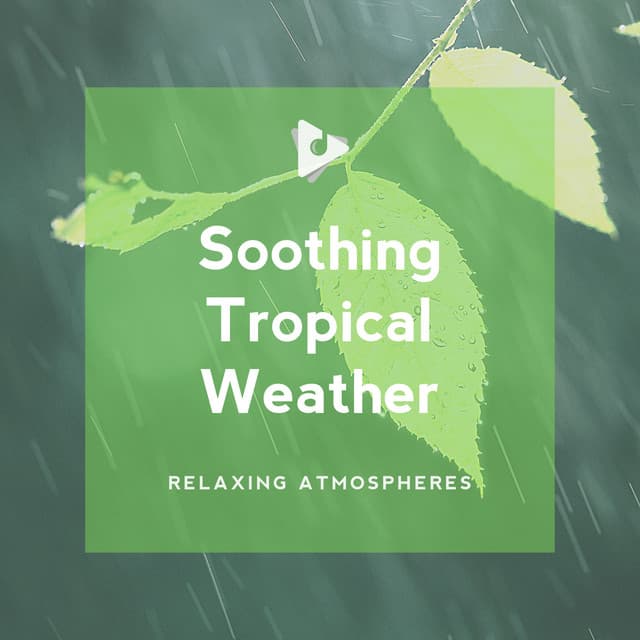 Soothing Tropical Weather - Relaxing ASMR