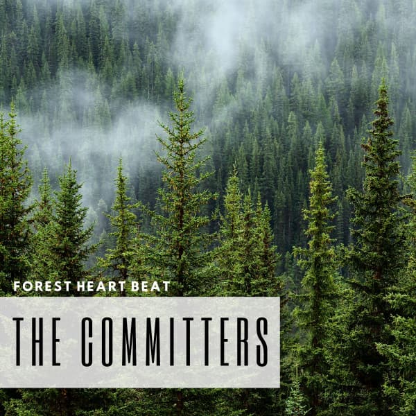 Forest Heart Beat - The Committers