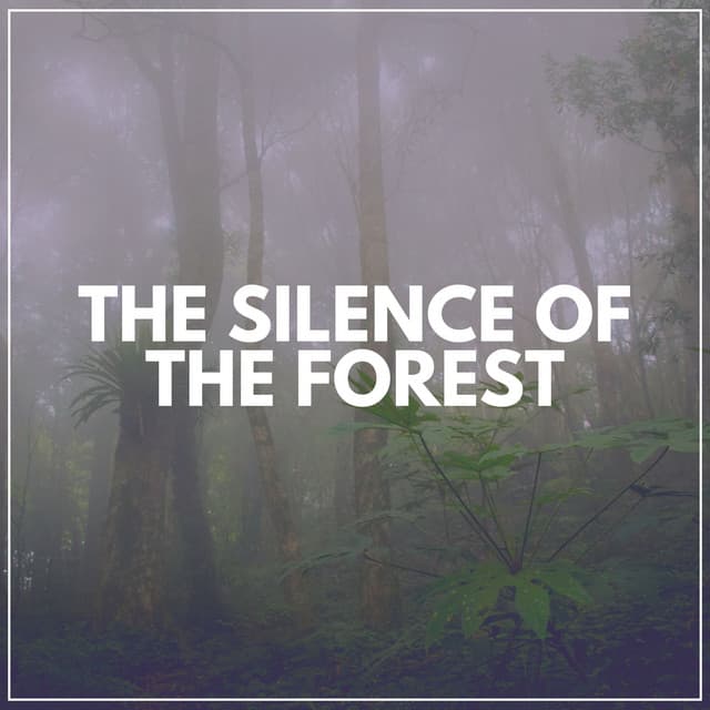 The Silence of the Forest - Forest Soundscapes