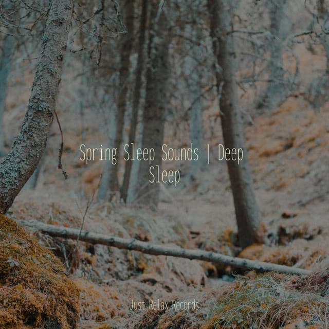 Spring Sleep Sounds | Deep Sleep - Musica para Meditar