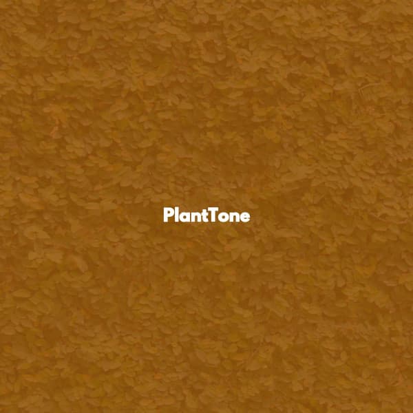 PlantTone - Jazzy Studying Music