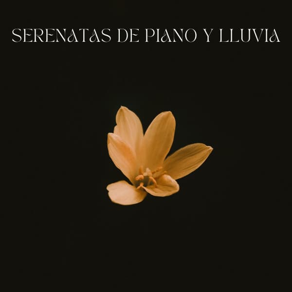 Serenatas De Piano y Lluvia - Música clásica de piano de la nueva era