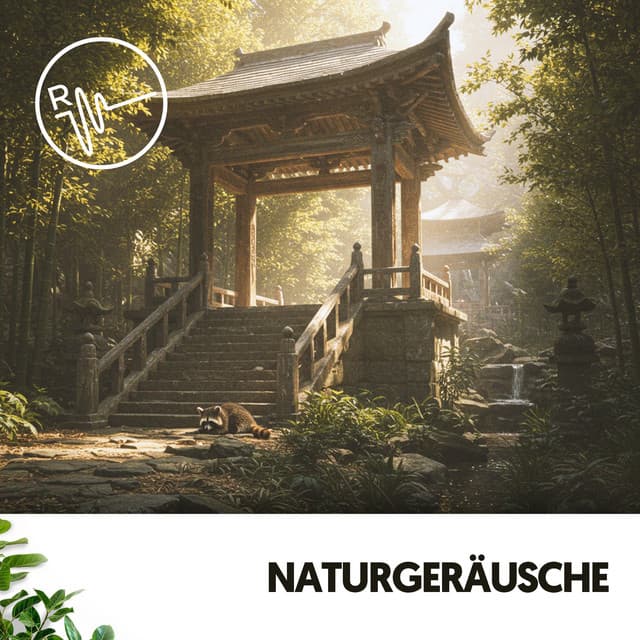 Naturgeräusche: Melodien des Wassers - Música Relajante Para Leer