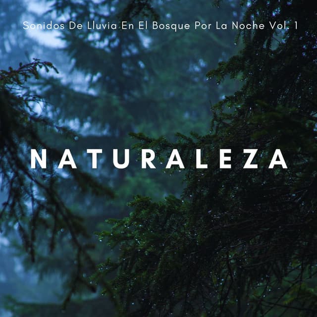 Naturaleza: Sonidos De Lluvia En El Bosque Por La Noche Vol. 1 - Lluvia Relajante para Dormir