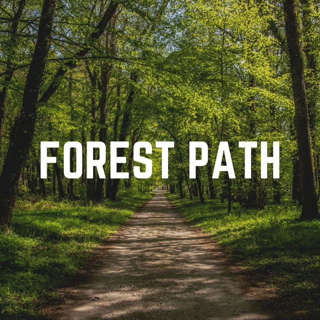 Forest Path - Essential Nature Sounds