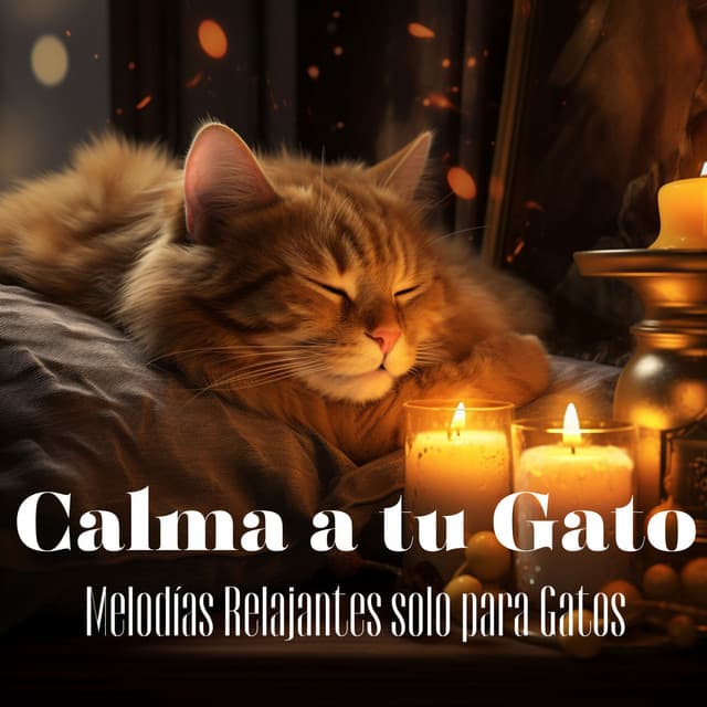 Calma a tu Gato - Melodías Relajantes solo para Gatos - Relax My Cat