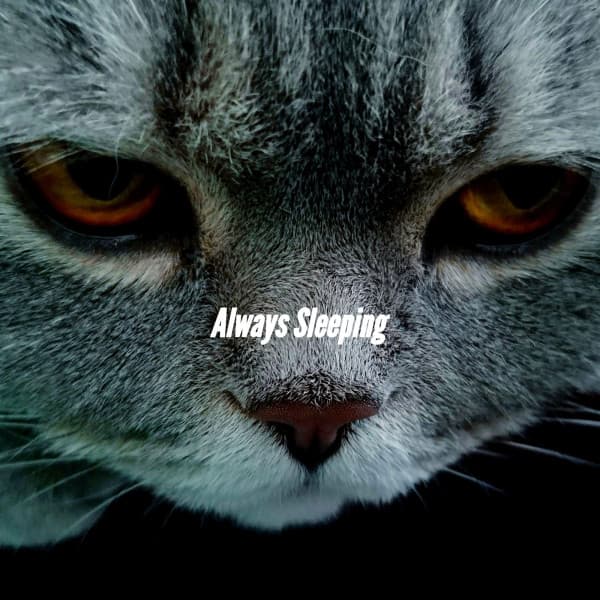 Always Sleeping - Spanish Cafe Music
