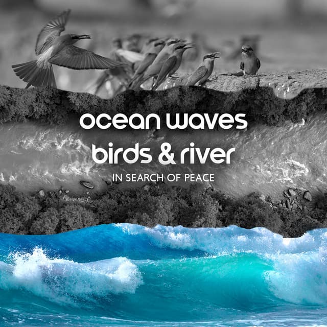 Ocean Waves, Birds & River: In Search of Peace - Harmony Green