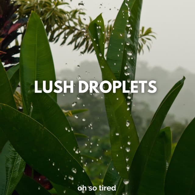 Lush Droplets - Oh so Tired