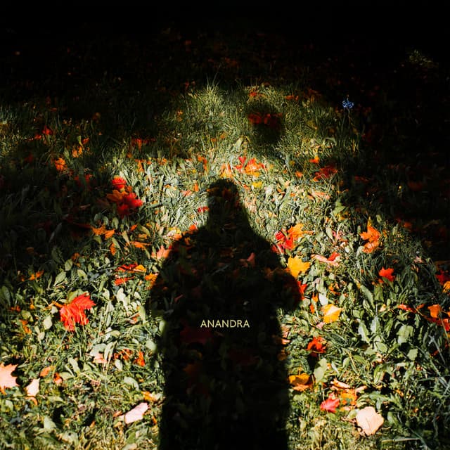 Resonant Orchard - Anandra