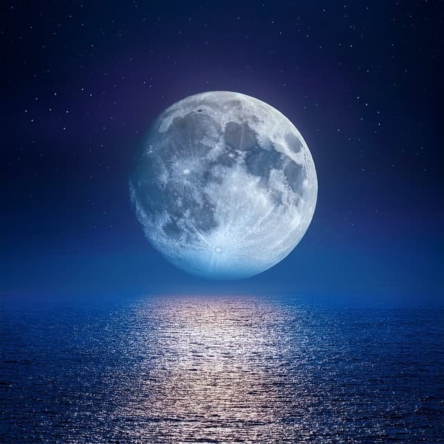 Calma A La Medianoche: Sonidos Suaves Para Un Sueño Profundo - Lo que pasa con el ruido