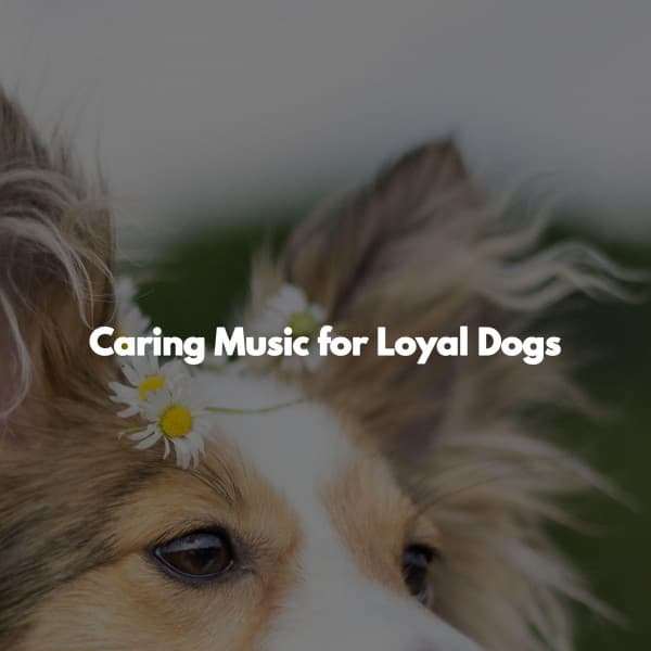Caring Music for Loyal Dogs - Relaxing Jazz Madrid