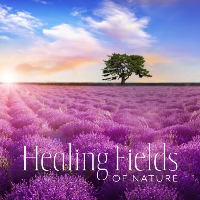 Healing Fields of Nature: Relaxing Therapy Tunes for Deep Healing and Tranquality, Soothe Immersion for Mind & Soul - Close to Nature Music Ensemble
