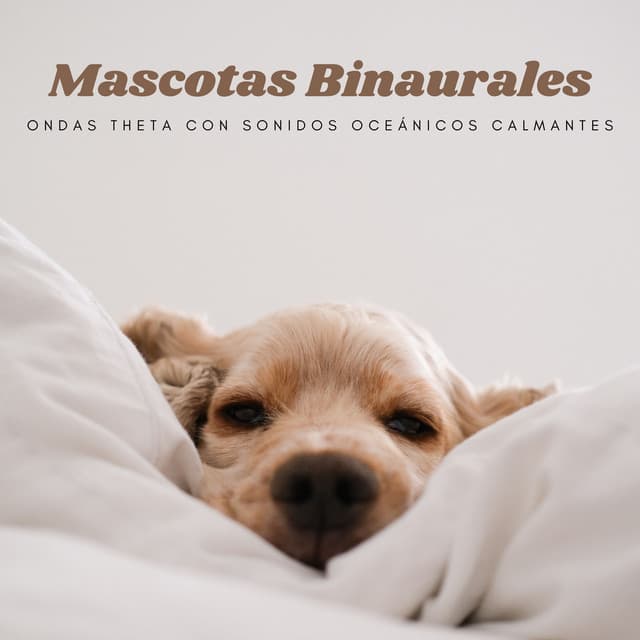 Ondas De Mascotas Binaurales: Ondas Theta Con Sonidos Oceánicos Calmantes - Bob binaural
