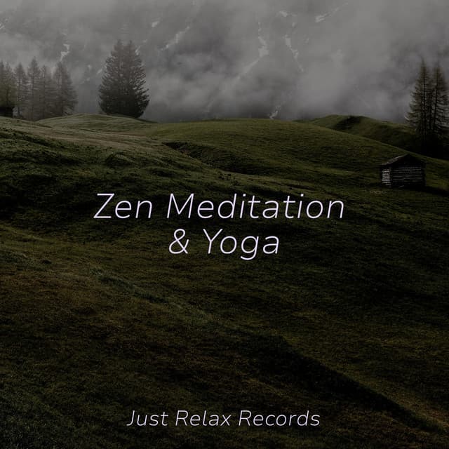 Zen Meditation & Yoga - Meditation Relaxation Club