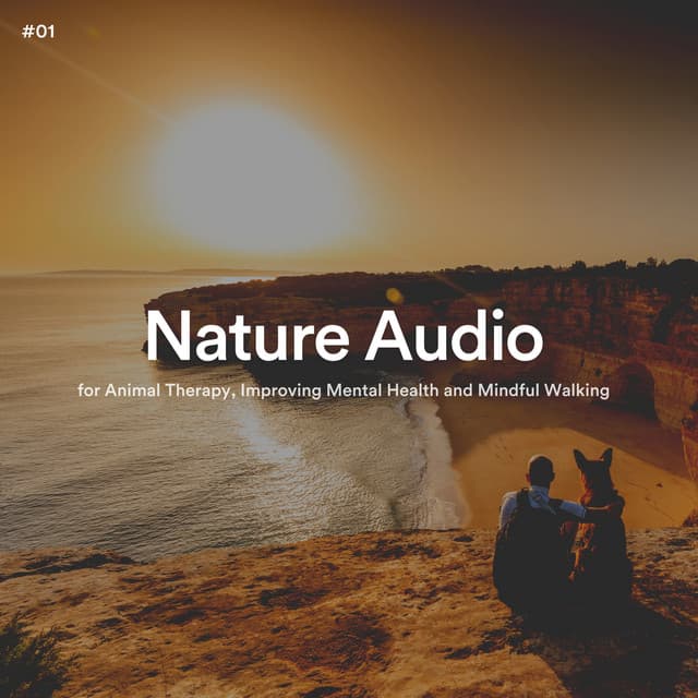 #01 Nature Audio for Animal Therapy, Improving Mental Health and Mindful Walking - The Nature Soundscapes