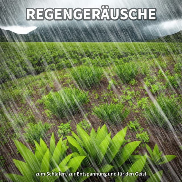 #1 Regengeräusche zum Schlafen, zur Entspannung und für den Geist - Regengeräusche