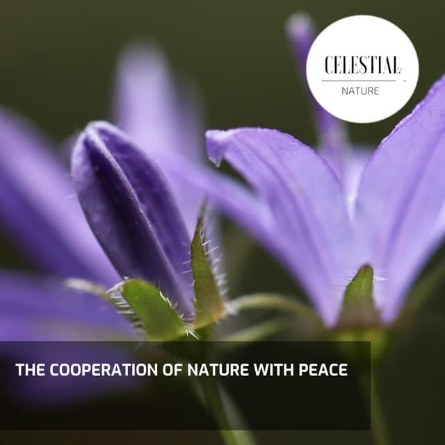 The Cooperation of Nature With Peace - Nature Radiance