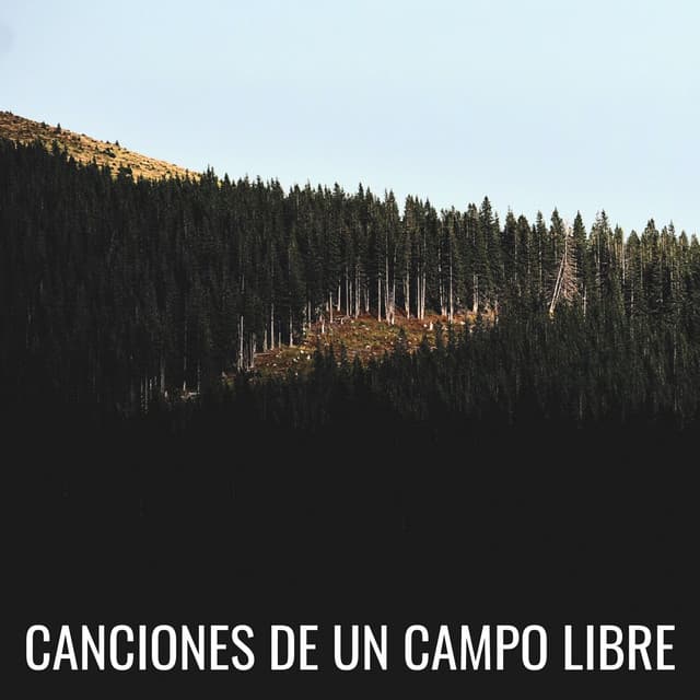 Canciones De Un Campo Libre - Registradores de campo natural