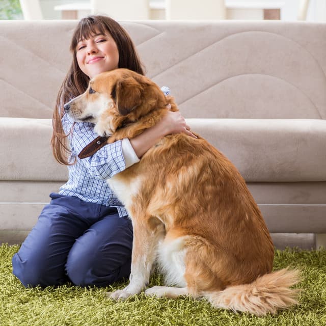 Piano Rain Kisses for Your Loyal Dog - Study Music And Piano Music