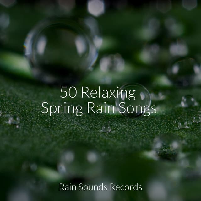 50 Relaxing Spring Rain Songs - Avslappning Sound