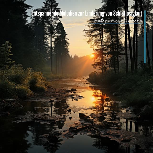 Entspannende Melodien zur Linderung von Schlaflosigkeit - Entspannungs Echo