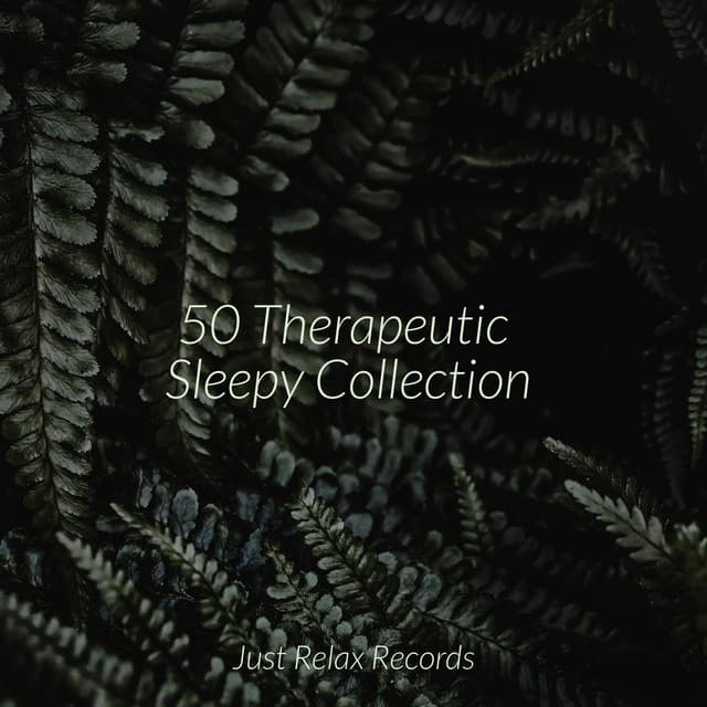50 Therapeutic Sleepy Collection - Yoga