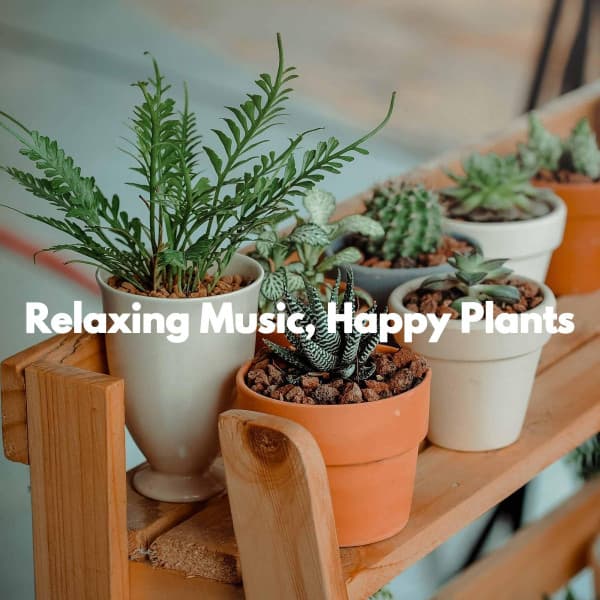 Relaxing Music, Happy Plants - Music for Cooking Playlist