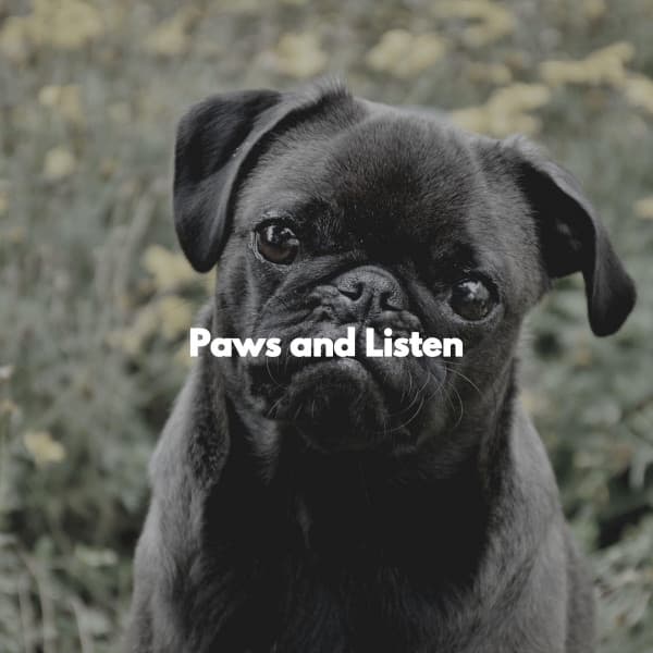 Paws and Listen - Mellow Jazz Playlist