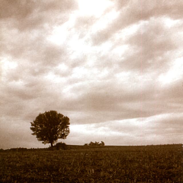 Homenatges a Mompou - Jordi Masó