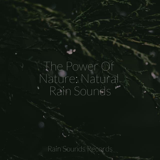 The Power Of Nature: Natural Rain Sounds - Brain Study Music Guys