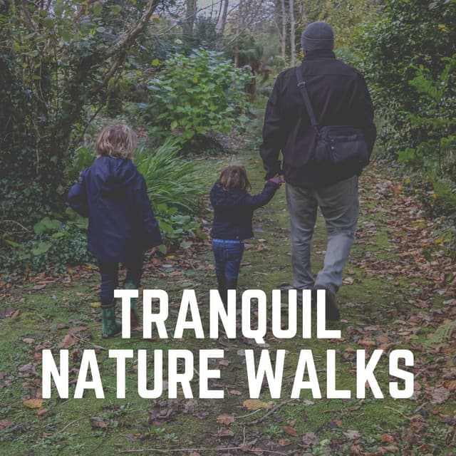 Tranquil Nature Walks - Organic Sound