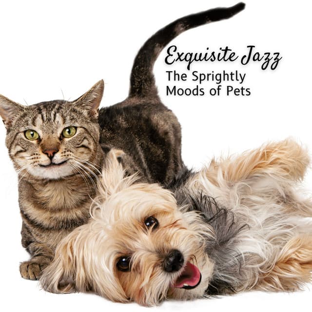 Exquisite Jazz: The Sprightly Moods of Pets - Chilled Jazz Atmosphere