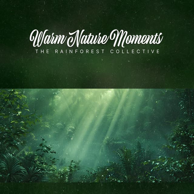 Warm Nature Moments - The Rainforest Collective
