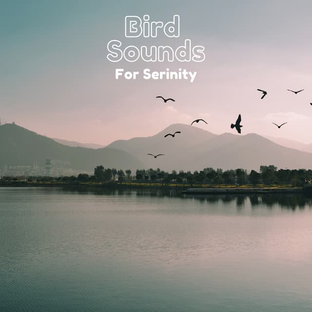 Bird Sounds For Serenity - Natural Sample Makers