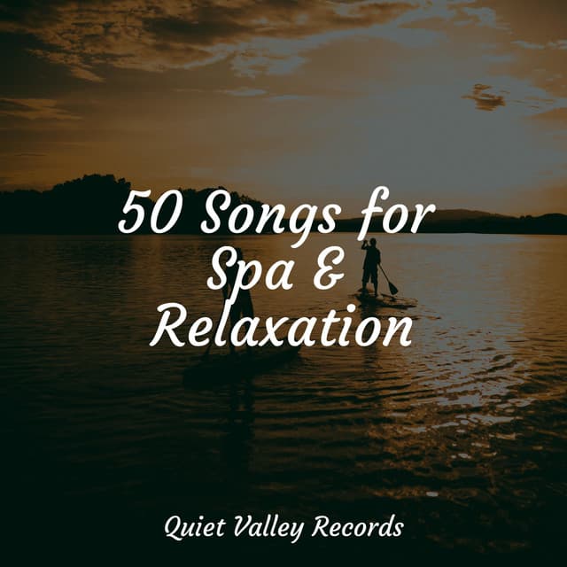 50 Songs for Spa & Relaxation - Thunder Storm