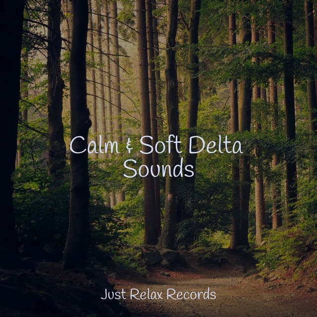 Calm & Soft Delta Sounds - Meditation Relaxation Club