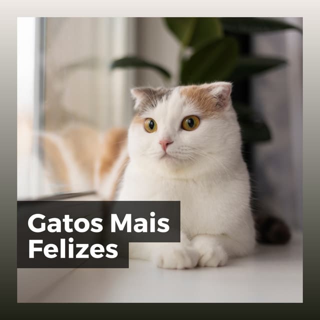 Gatos Mais Felizes - Musica para Gatos