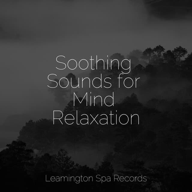 Soothing Sounds for Mind Relaxation - Calming Rainforest Sounds
