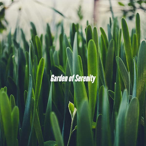 Garden of Serenity - Soft Jazz & Coffee