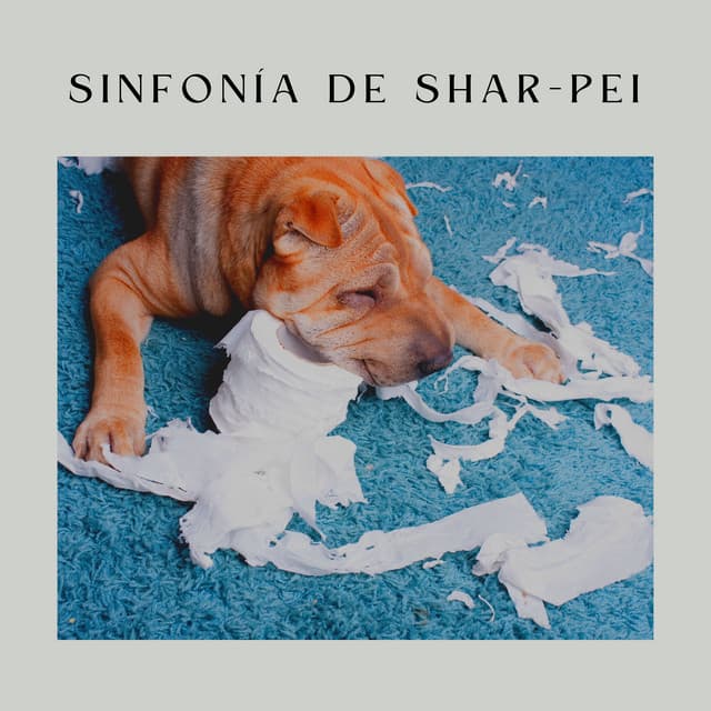 Sinfonía de Shar-Pei - Música Pura Para Perros