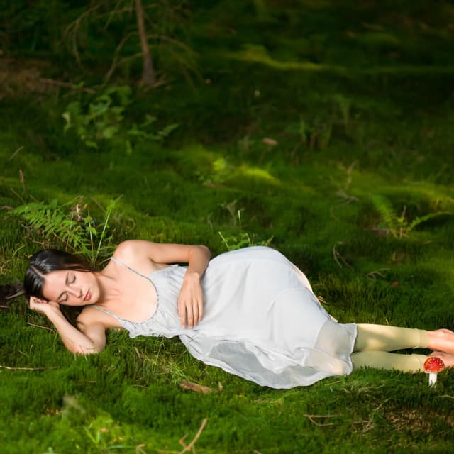 Insect Serenade: Sleep Amidst Nature's Chorus - Deep Sleep Music Company