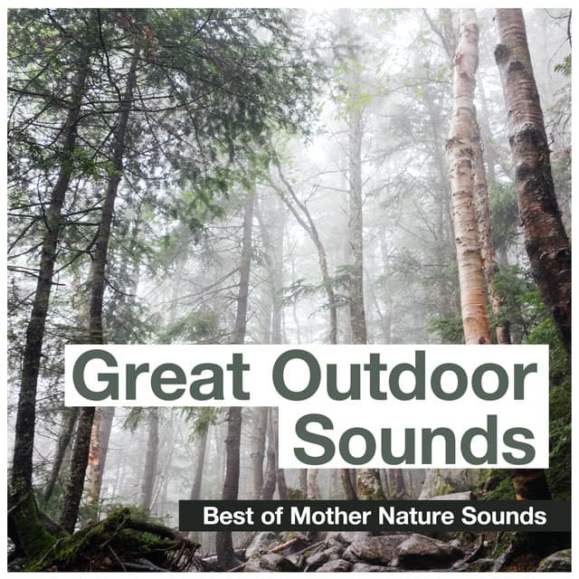 Great Outdoor Sounds - Best of Mother Nature Sounds