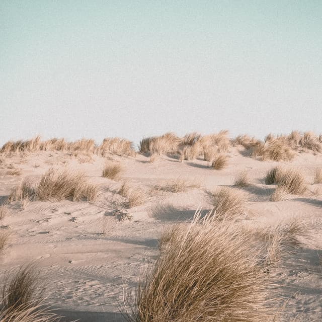 50 Summer 50 Spring 2021: Essential Healing Music Collection | Meditation - Sounds Of Rain & Thunder Storms