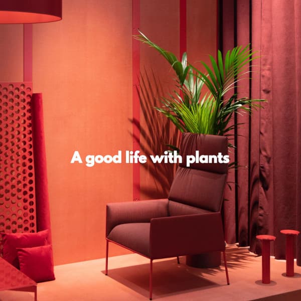 A good life with plants - Abendessen Jazz Ambiente
